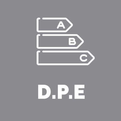 logo DPE